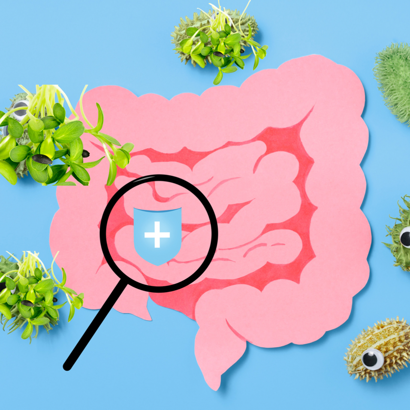 Detoxing with Broccoli Sprouts optimalbody